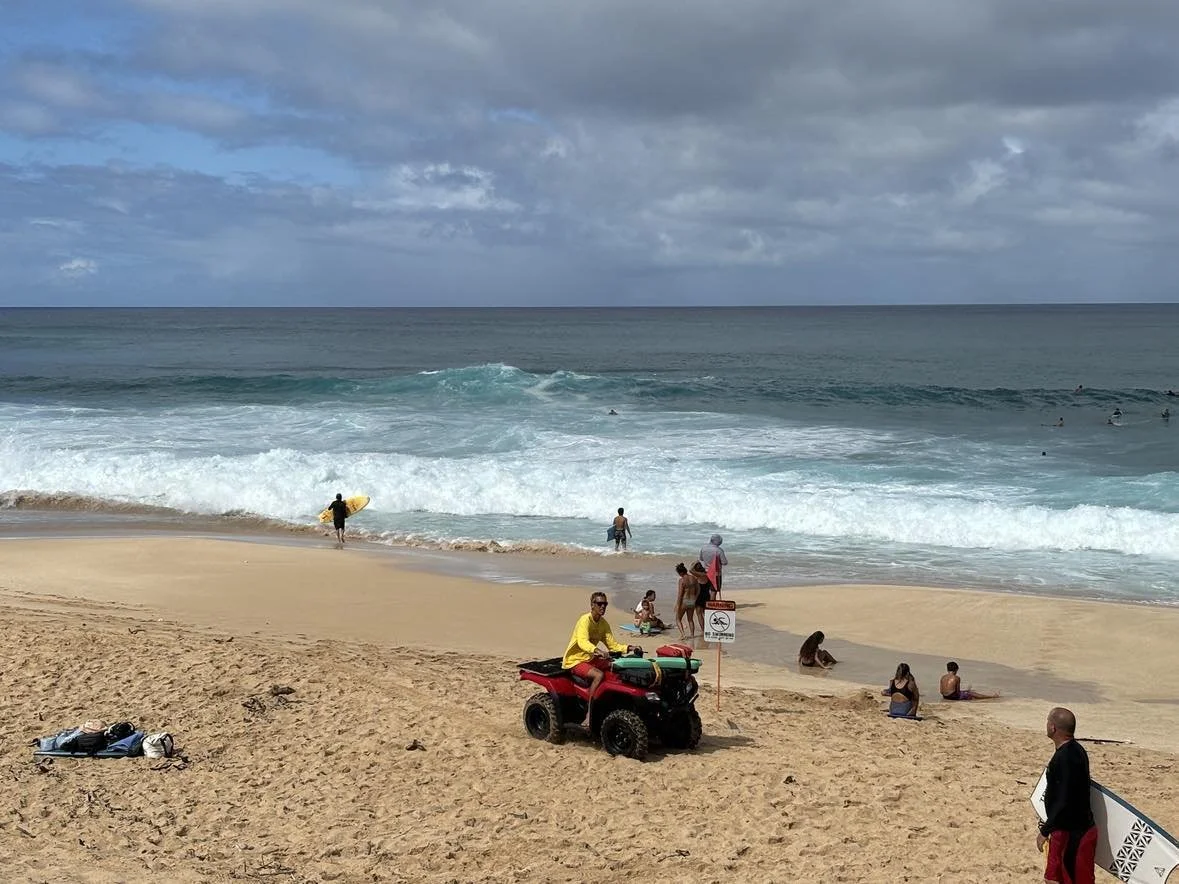 December 2024 Rip of the Month - Ehukai Beach Hawaii — Science of